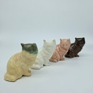 Gatitos Duncan - Yolanda Arango