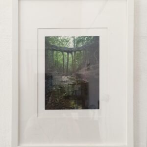 El Árbol Puente Monteverde - Mónica Torres