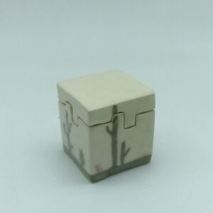 Cajita ilustrada cactáceas - Yolanda Arango